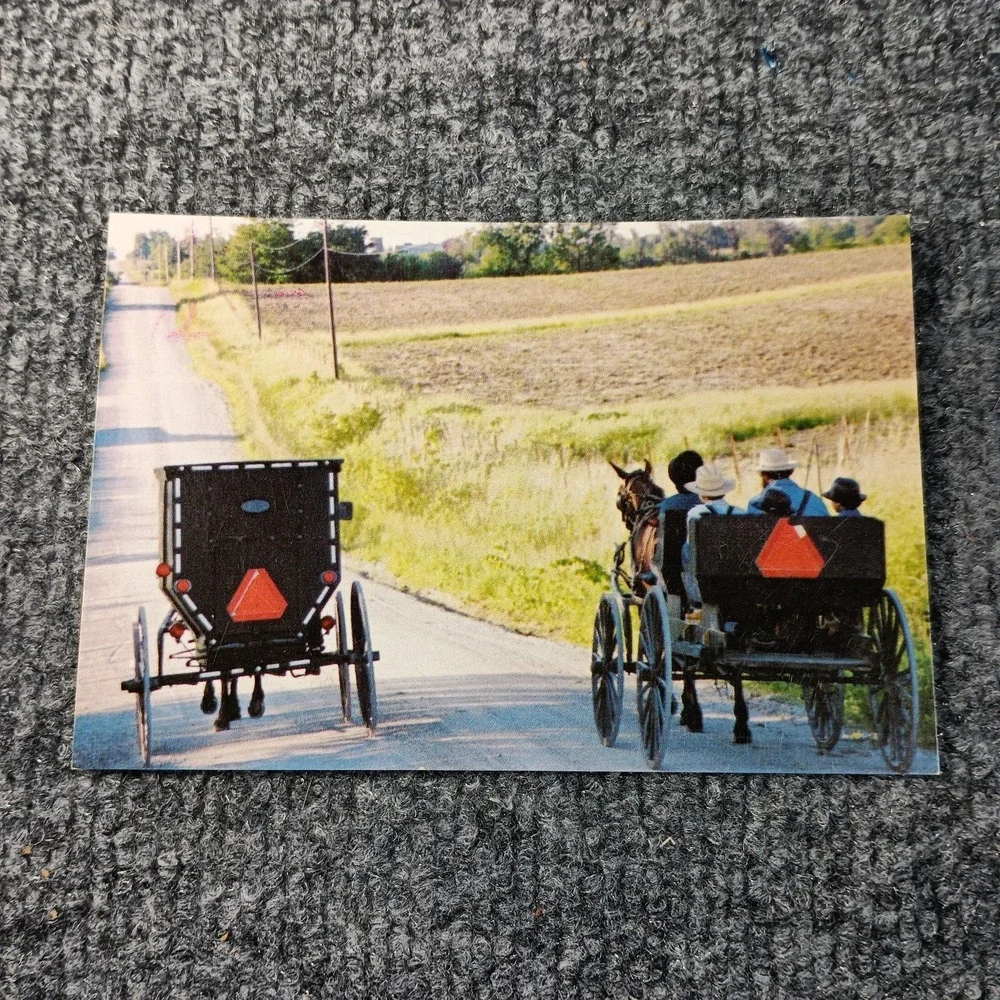 Amish Postcards Set of 3 Horse Buggy Farm Life John‎ M Zielinski Photography VTG